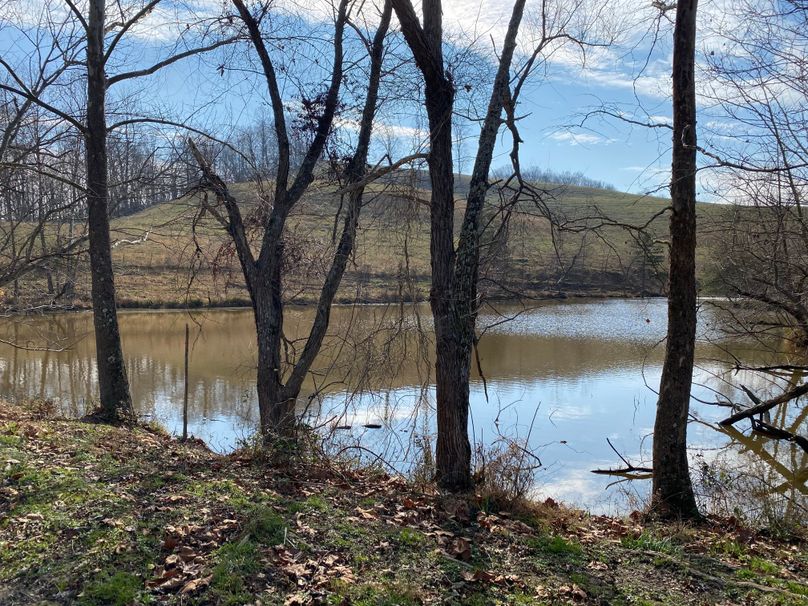 030 nice view over the pond from the dam copy