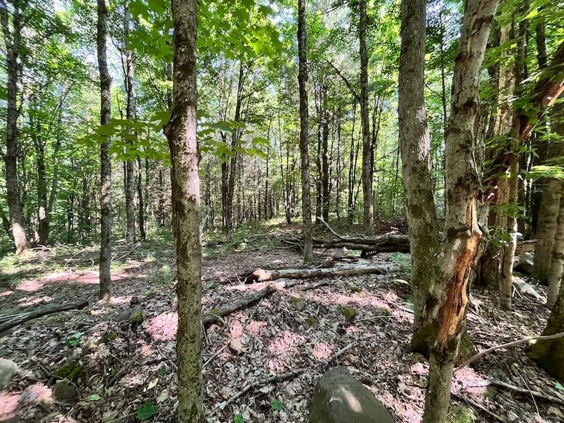 Oswego_24_Frank Photo 29