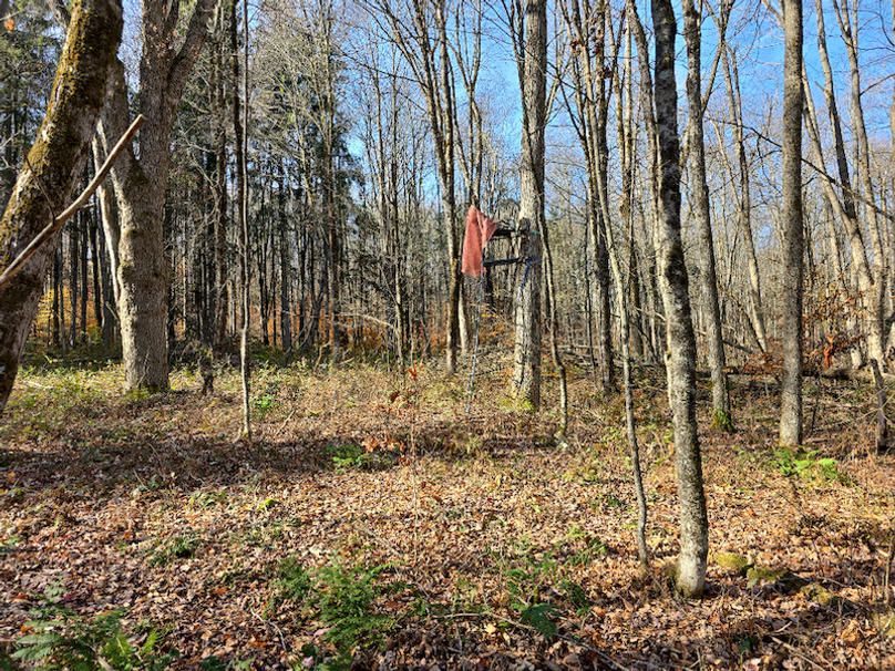 photo_9e874beb-1876-4e6a-a41b-0a3b5b3bde3f