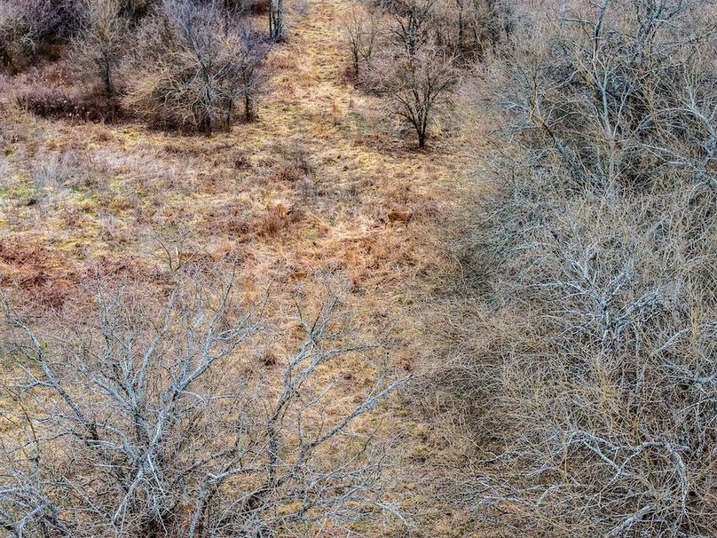 DJI_20260119104153_0710_D