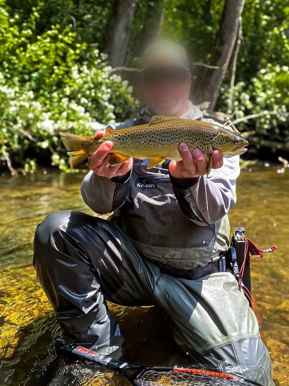 IMG_0725_jpg