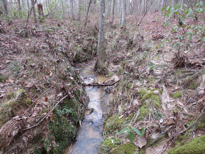 44688AEB-4A08-4B3B-A58D-9F5376616520