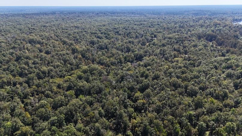 dji_fly_20251015_010906_0062_1760476851792_photo