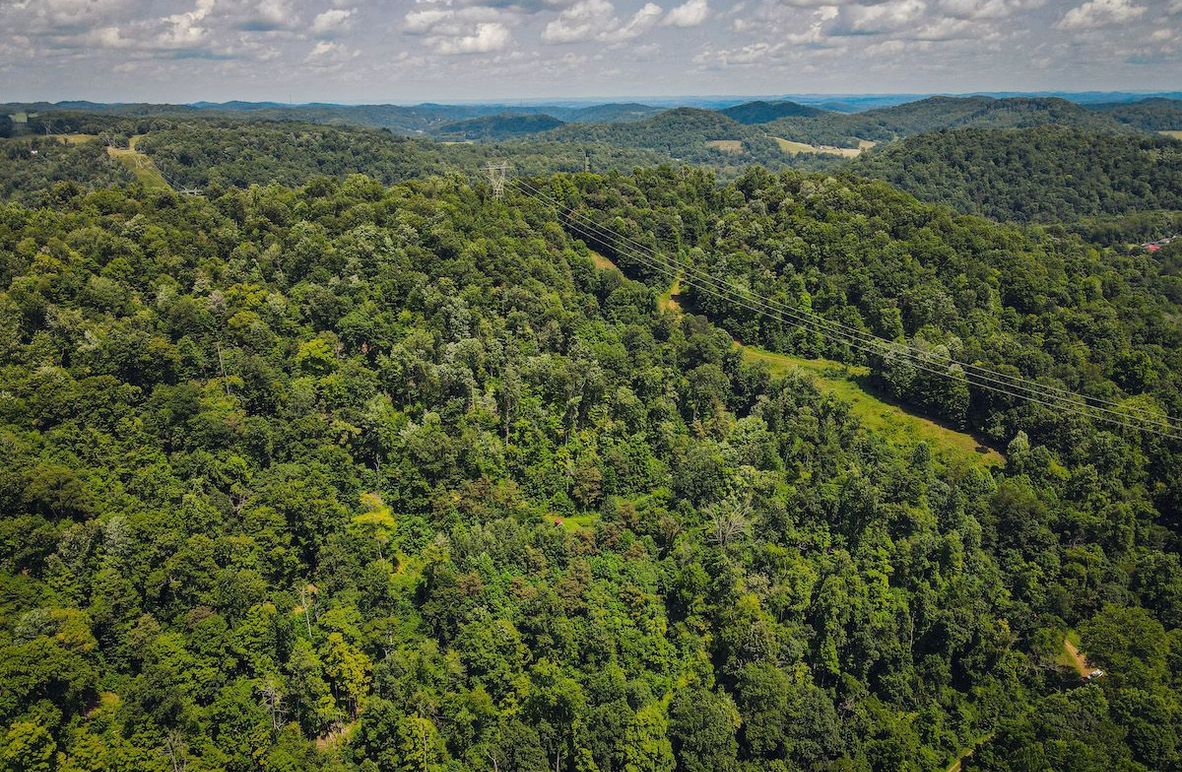 dji_fly_20230808_141908_953_1691518756481_photo