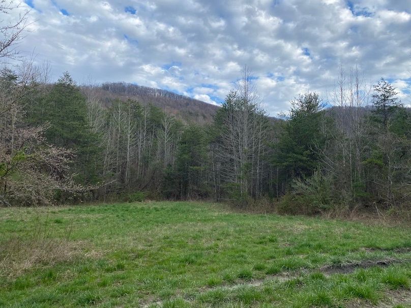 015 another view of the cleared open field area in the northeastern portion of the property