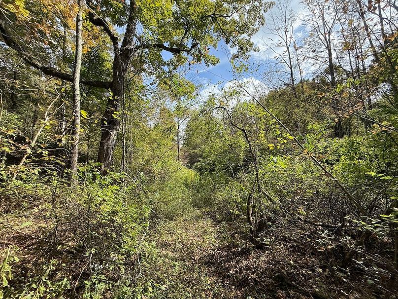 Tioga_30_Flanner Photo 32