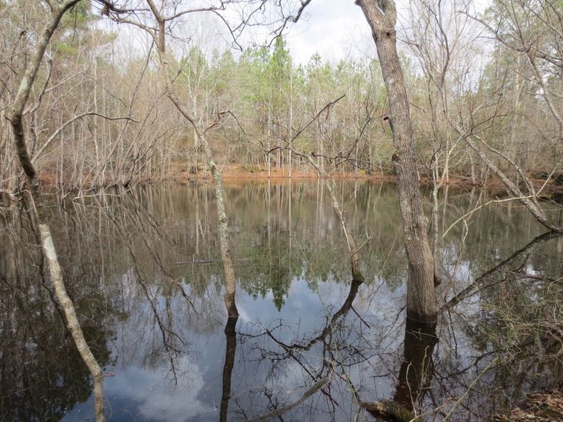 783C412D-D76D-4C6B-9DE7-F77E430C7EB6_1_105_c