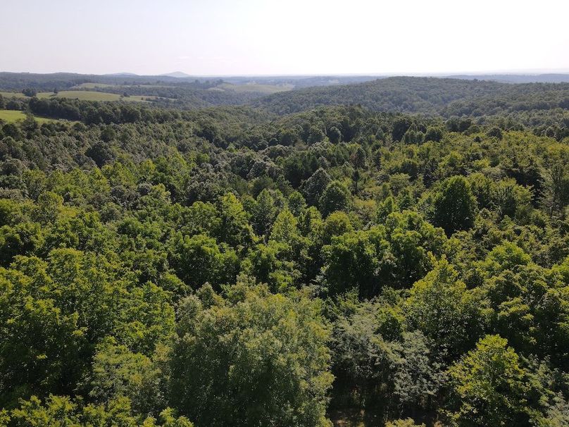dji_fly_20240808_094934_290_1723128625311_photo