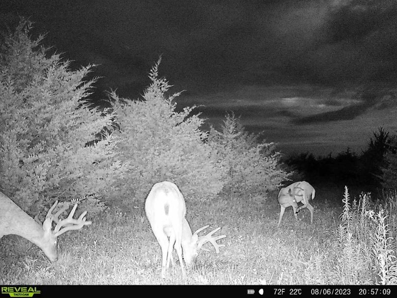 0BF1D8C7-F8F0-4D99-9003-7D168E195FA4