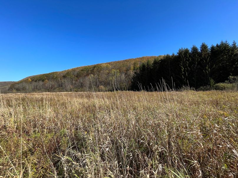 Schuyler_25.155_Ennis_Photos_12