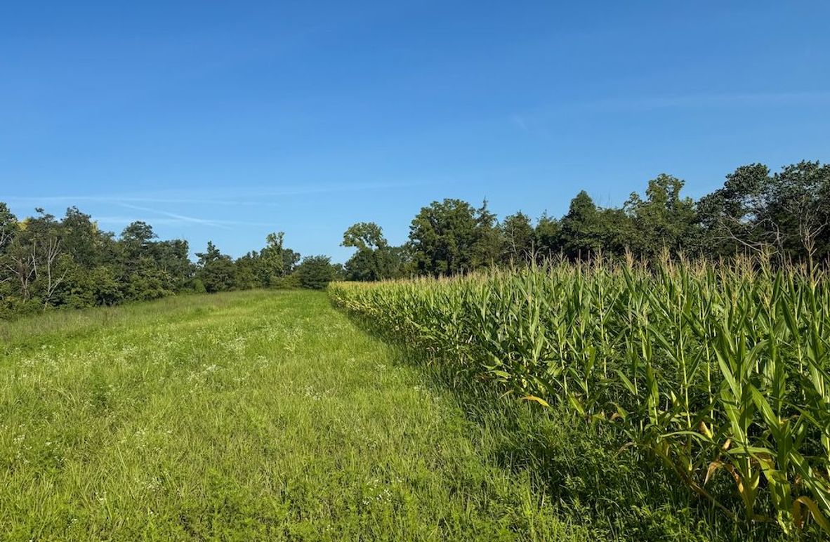 Lewis 90 Wengert new pic-05