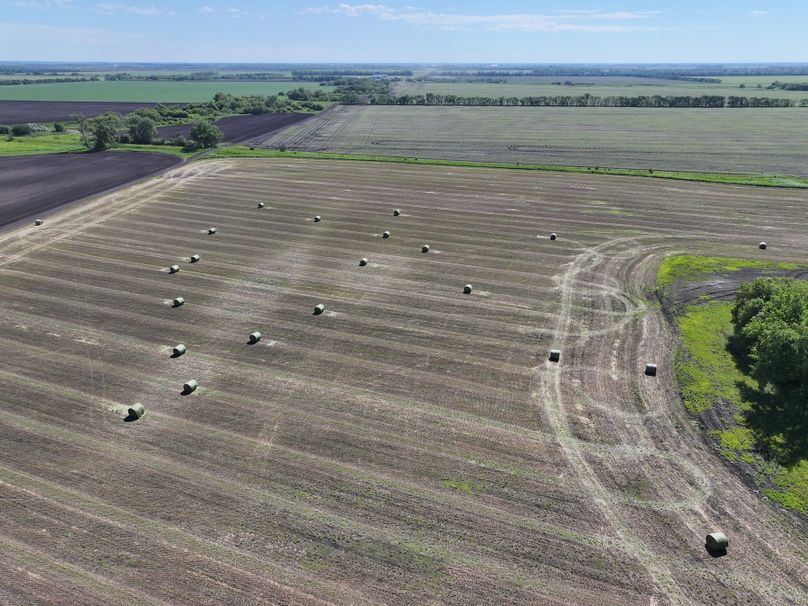 DJI_20240612104314_0162_D