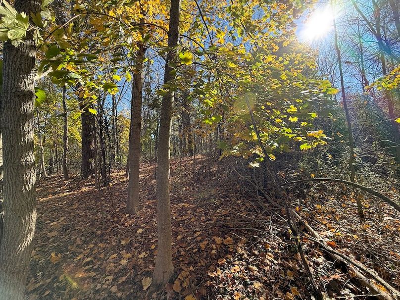 Wayne_18.11_Koehler Photo 5