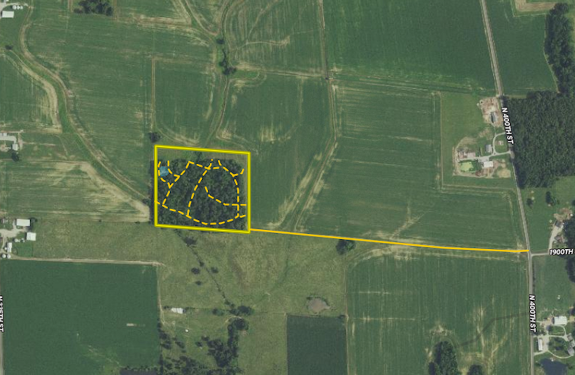 Screenshot 2024-02-19 at 10.46.48 AM