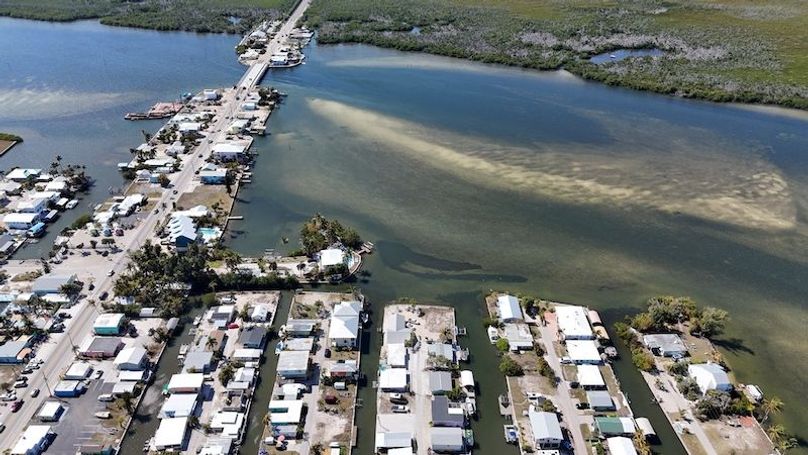 DJI_20260215114531_0309_D