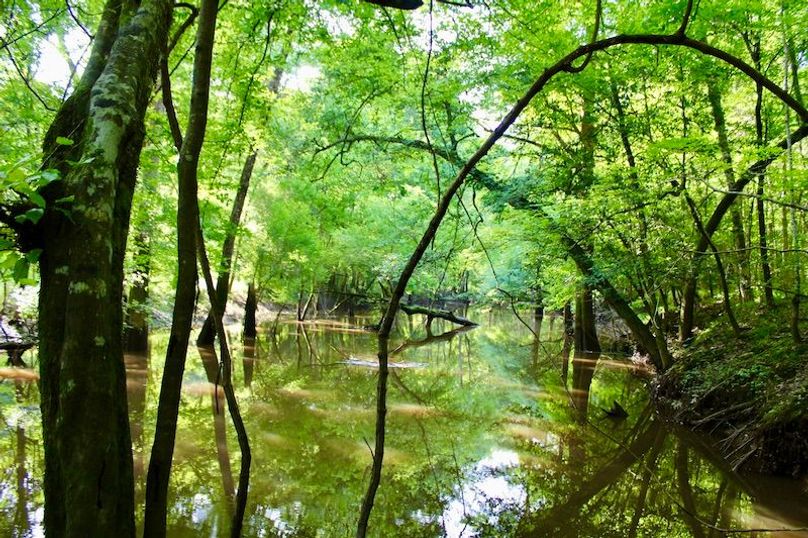 13C3DC0A-3A87-492A-8D67-E68C30DFA06A_1_201_a