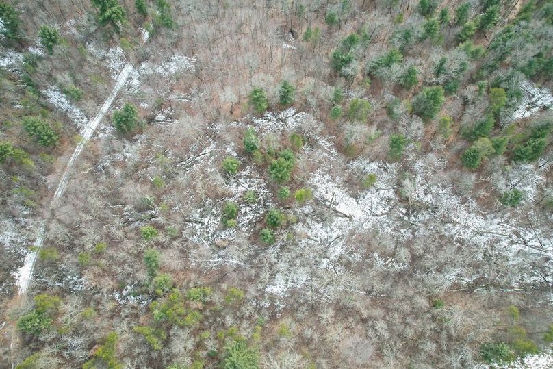 Adams 10.06 Johnson-44