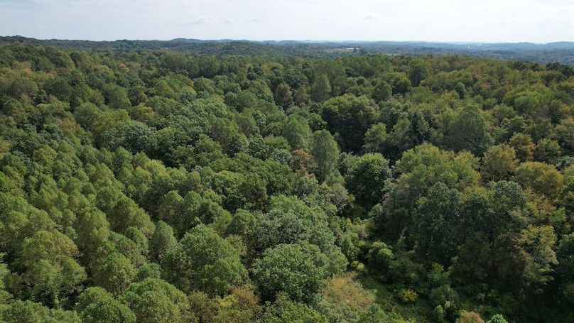 dji_fly_20250916_115328_752_1758038475841_photo