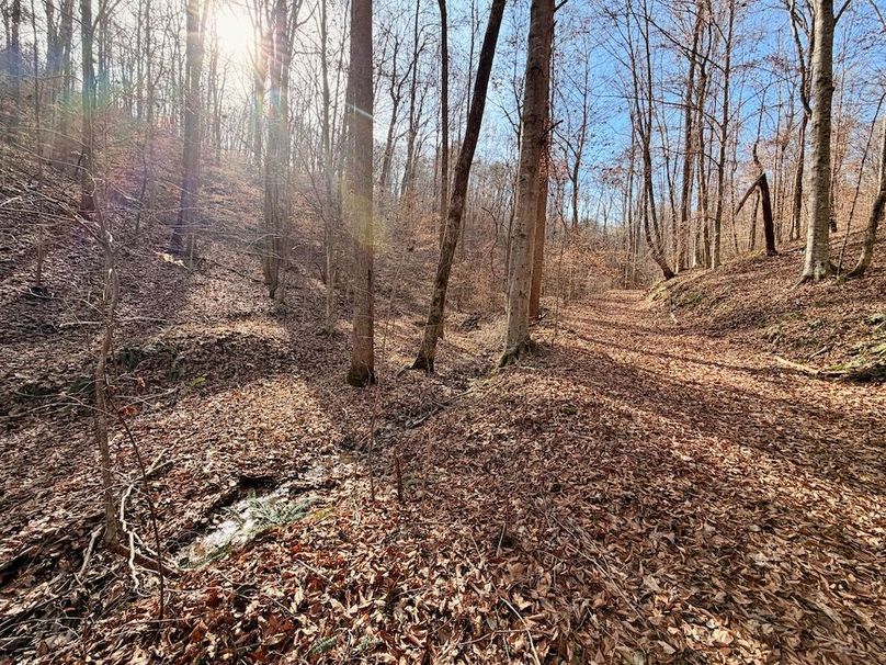 Roane Co TN 396 20251127_15