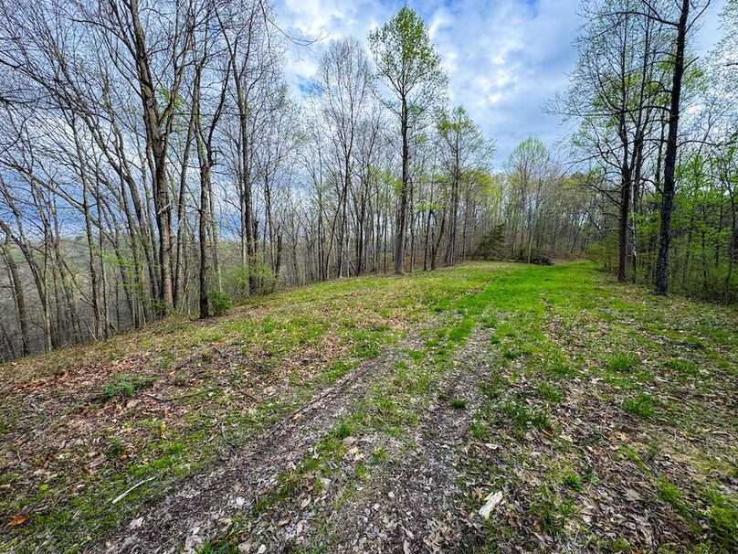 Calhoun, WV 132.84 AC Szegi 2-137