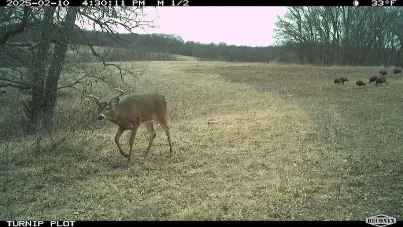 Copy of 1-5505585577