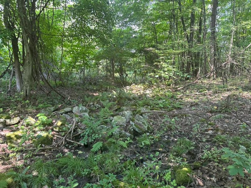 84F277D7-D763-4998-8A8C-AE04610F9B24_1_105_c