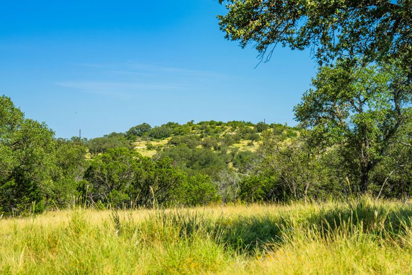 19-web-or-mls-DSC08004