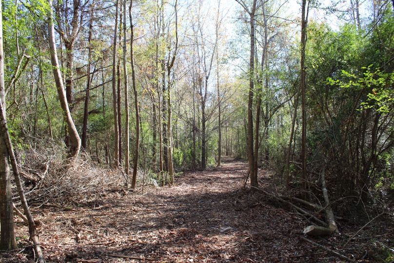 BB8392B4-C0A4-450D-B9A2-50A57E6C3103_1_105_c