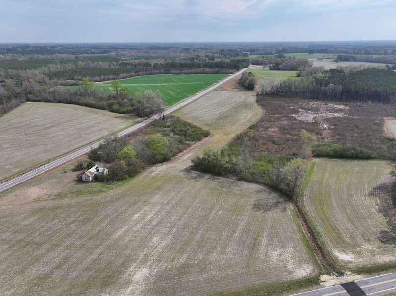 Copy of DJI_20260303065017_0586_D