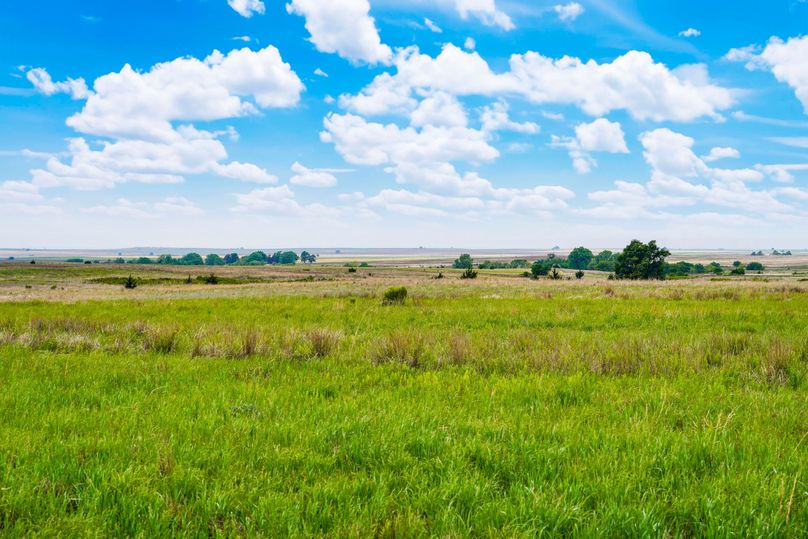 Comanche320_085 copy