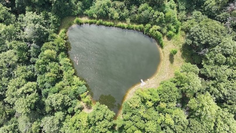dji_fly_20240904_133028_0373_1725471194848_photo