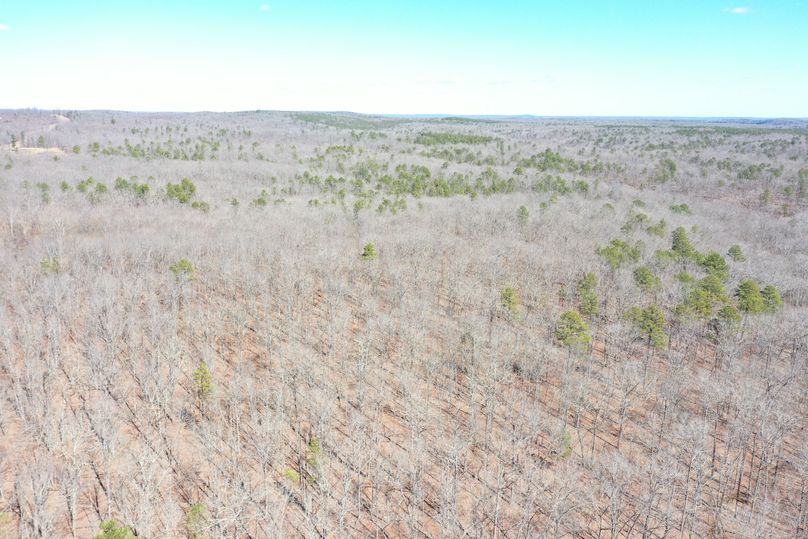 DJI_0841