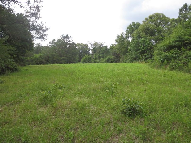 8F63C58D-3A96-4F83-AEE3-0DA0E8EF0825_1_105_c