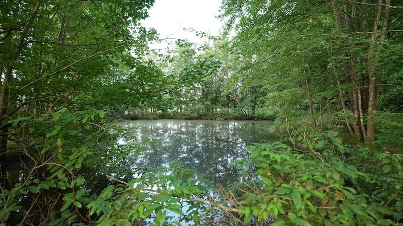 Copy of Copy of DSC04992