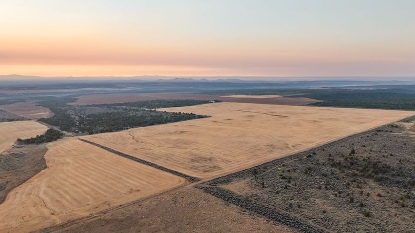 DJI_0499_1