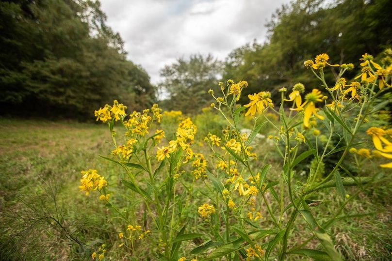 FREMONT CO IA 159.05_73