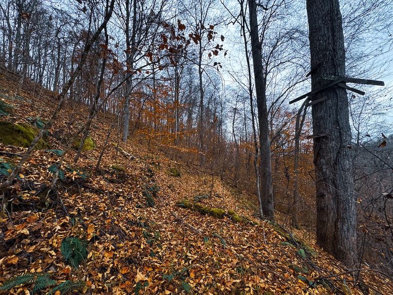 Ritchie, WV 100 AC Harper-15