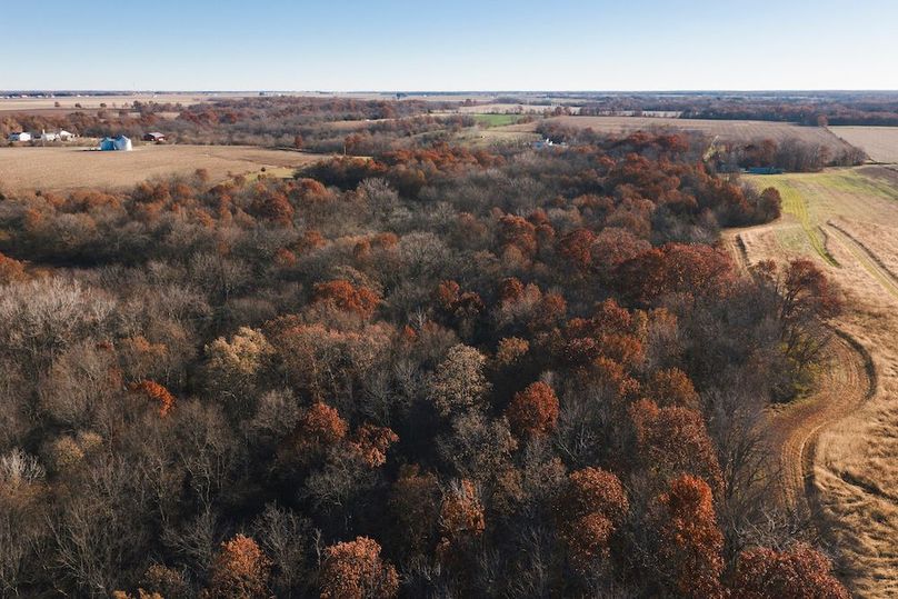 DJI_20251116084027_0126_D