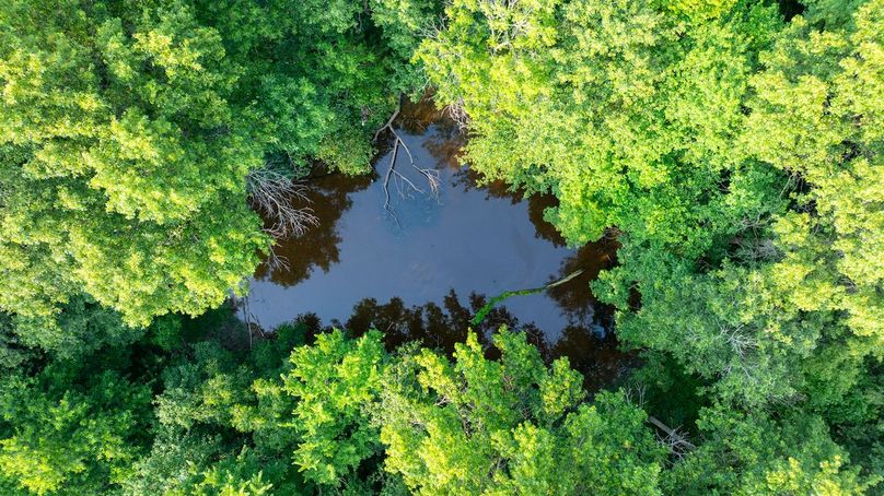 DJI_20250610045817_0019_D