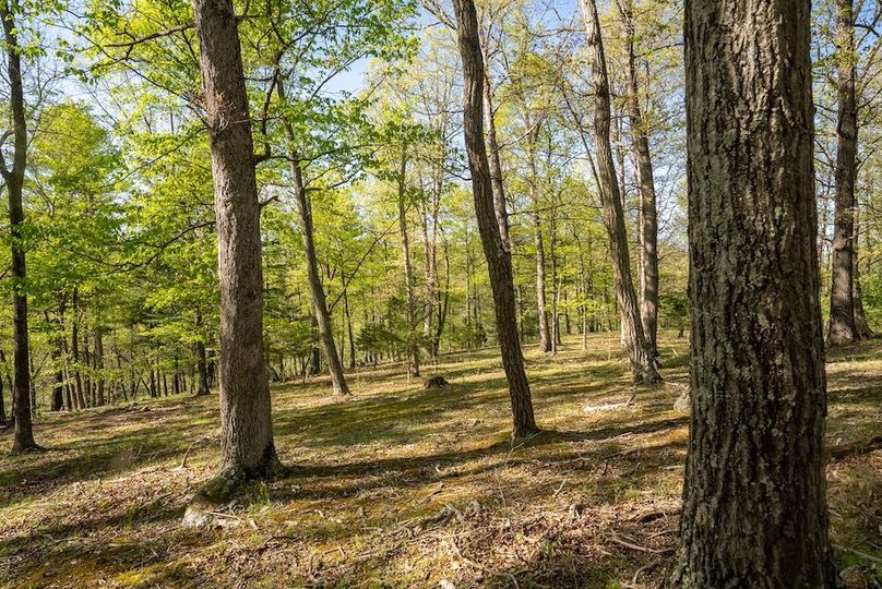 Hampshire WV 106 Featured_Pro Photo-39