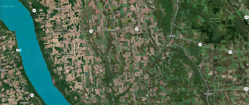 Cayuga_5.7_Cotten Map 5