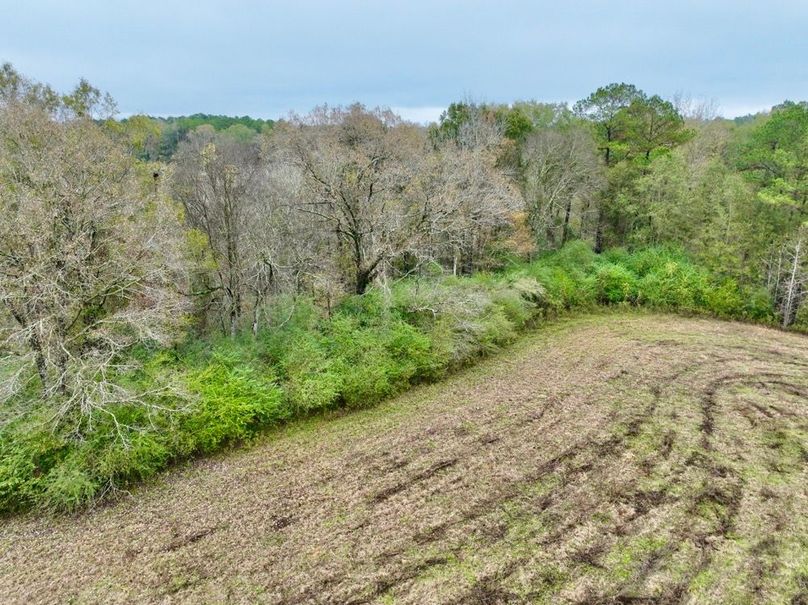 8C06CE8F-B2B2-43E9-A56A-AB81D7AEFB3C_1_201_a-2