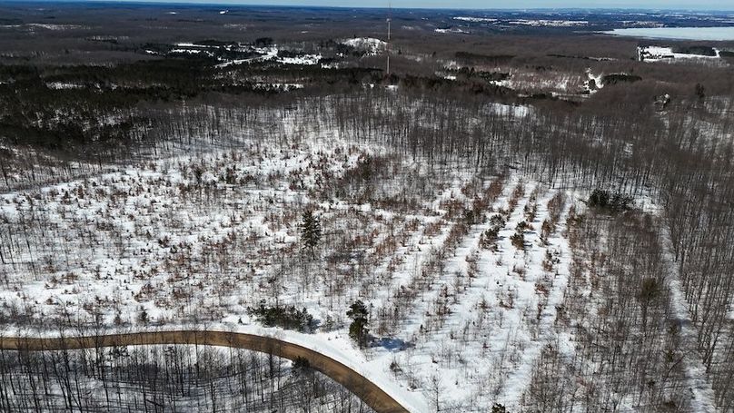 DJI_20260327122251_0364_D-2