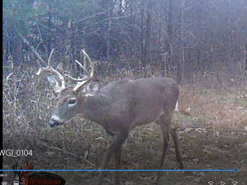 Screenshot 2024-03-02 133440