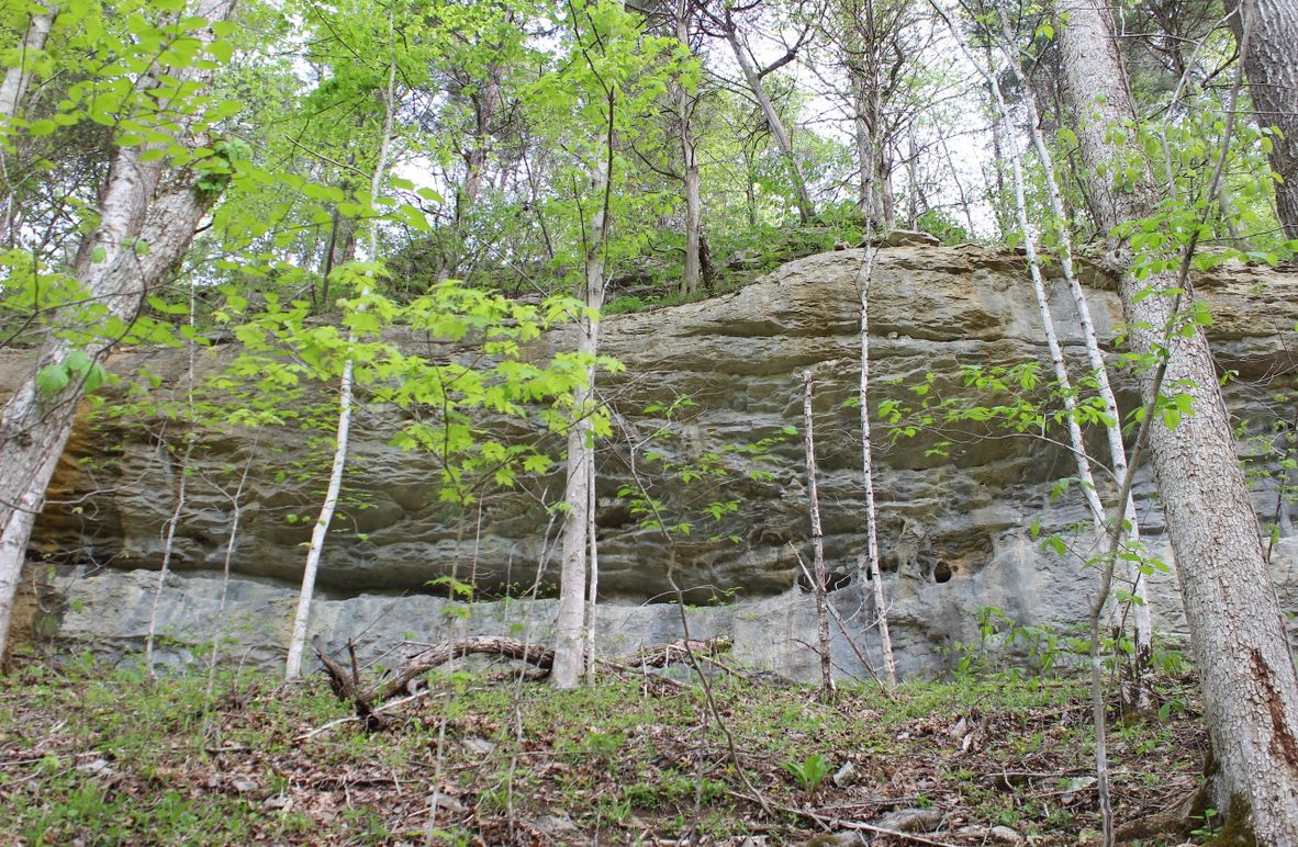 006 the beautiful limestone rock cliff line in the middle of the property