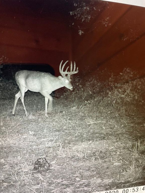 63262035123__A5E5FD28-E8E4-48BA-90F5-F09957F7D057