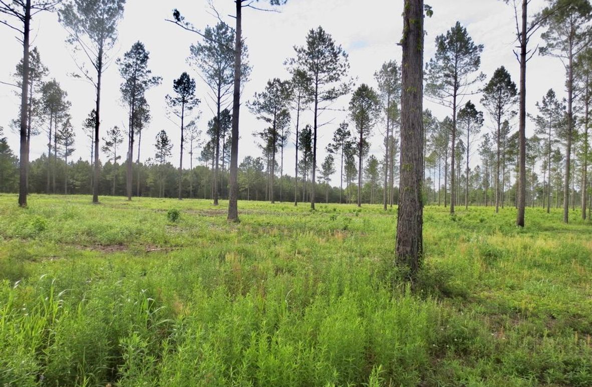 A3B0A1FF-652E-425B-81C0-7AC151709EC8_1_105_c