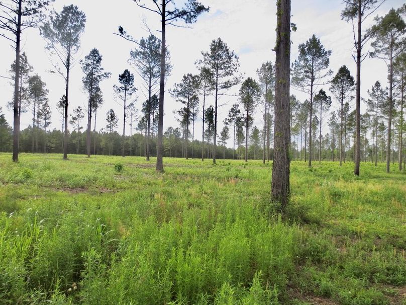 A3B0A1FF-652E-425B-81C0-7AC151709EC8_1_105_c