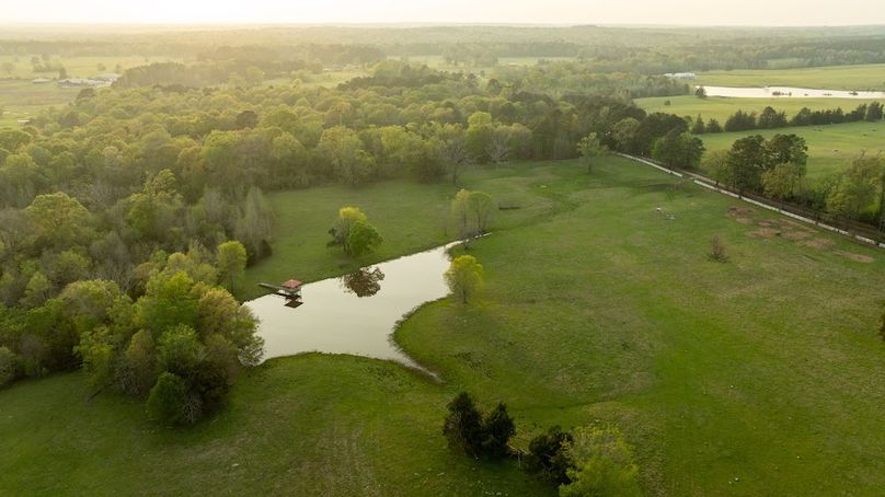 68 Marion TX 143 and 117 Featured_ProPhoto-100