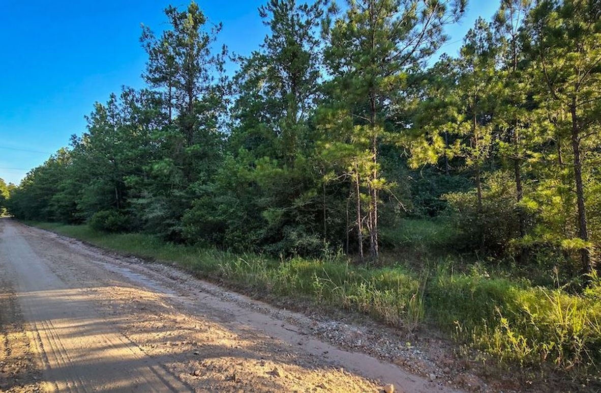 Copy of 20240704_191404